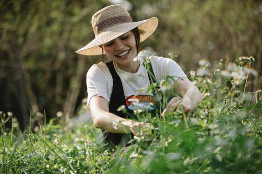 forena-nytta-med-noje