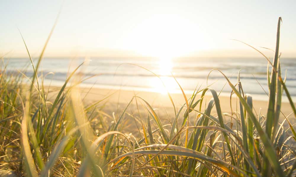 Morgonstund-har-guld