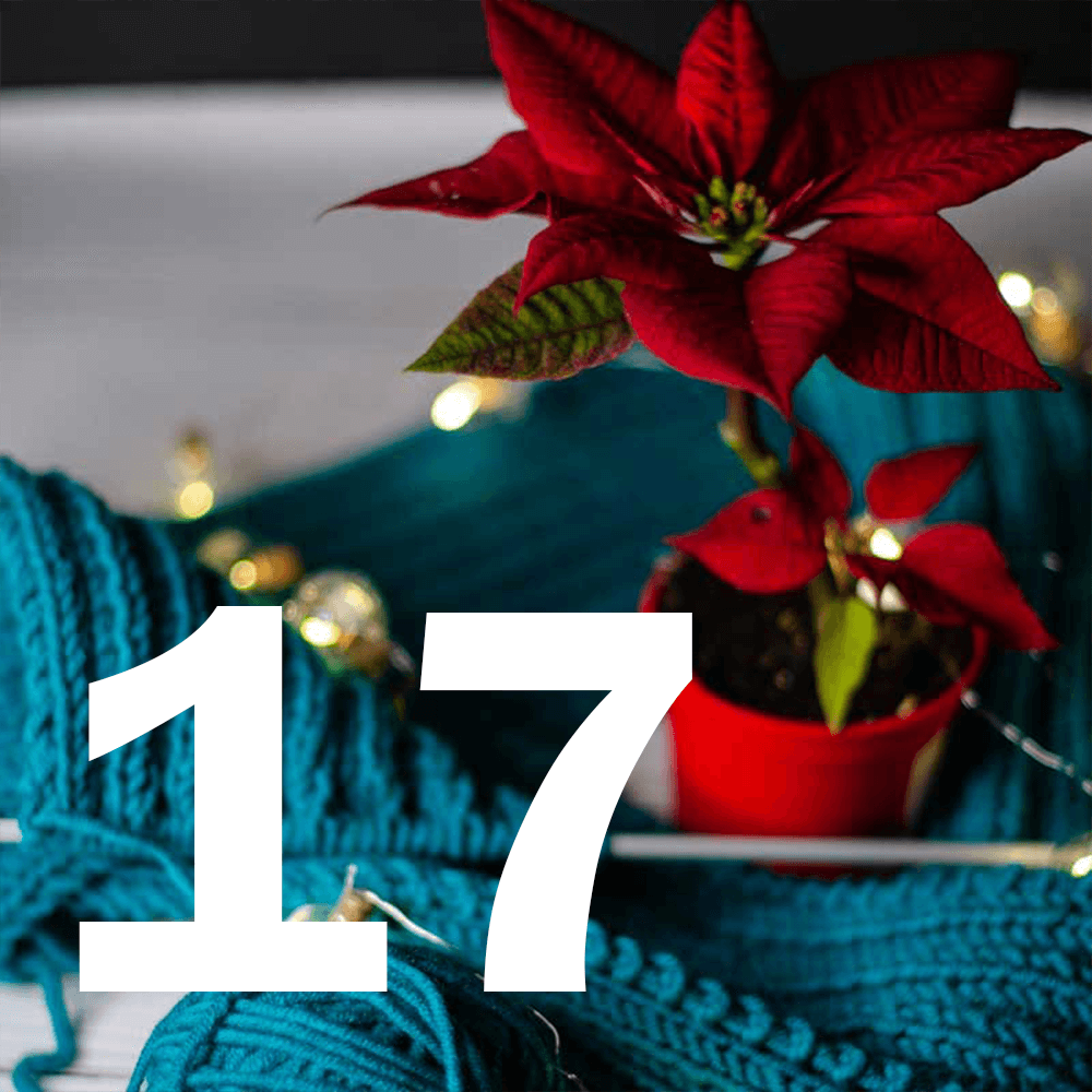 door-17:e december