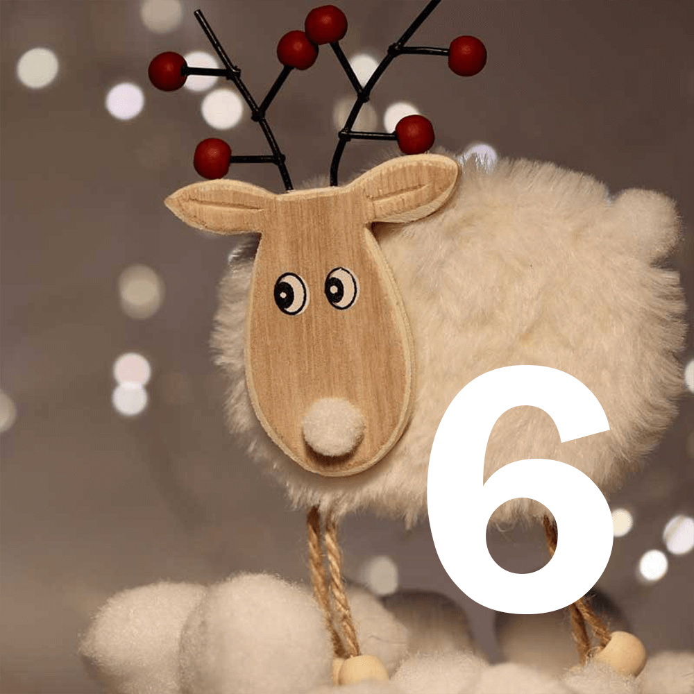 door-6:e december