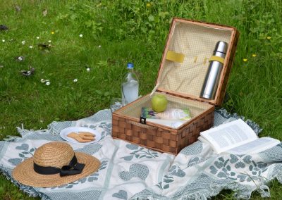 Picknick tips